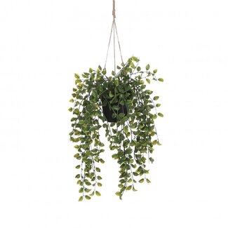 4A Groene Hangplant Ficus Kunstplant | Kleur: Groen | Diameter ± 20 centimeter | Hoogte ± 46 centimeter | Per 6 kunstplanten