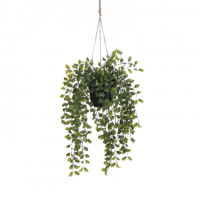 Groene Hangplant Ficus Kunstplant | Kleur: Groen | Diameter ± 20 centimeter | Hoogte ± 46 centimeter | Per 6 kunstplanten