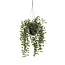 Groene Hangplant Ficus Kunstplant | Kleur: Groen | Diameter ± 20 centimeter | Hoogte ± 46 centimeter | Per 6 kunstplanten