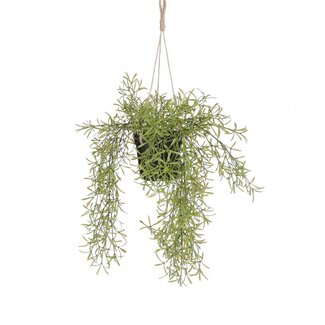4A Rhipsalis Plante suspendue Plante artificielle | Couleur: Vert | Diamètre ± 20 centimeter | Hauteur ± 40 centimeter | Par 6 plantes artificielles