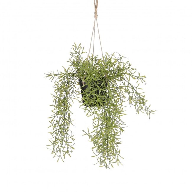 Kunstplanten Hang Rhipsalis d20*40cm