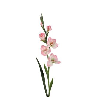 4A Gladiole Kunstblume | Farbe: Hellrosa | Gladiolus Kunstblumen | Länge ± 97 centimeter | Pro 4 Kunstblumen