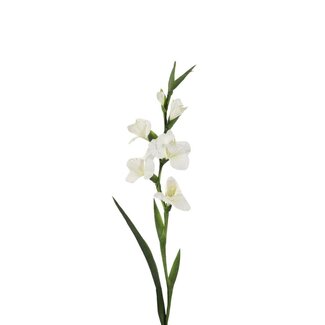 4A Gladiolus Artificial Flower | Colour: Natural White | Gladiolus Artificial Flowers | Length ± 97 centimeter | Per 4 artificial flowers