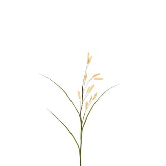 4A Gedroogde Hazestaart Kunsttak | Kleur: Beige | Dried Bunny Tails | Lengte ± 114 centimeter | Per 4 kunsttakken