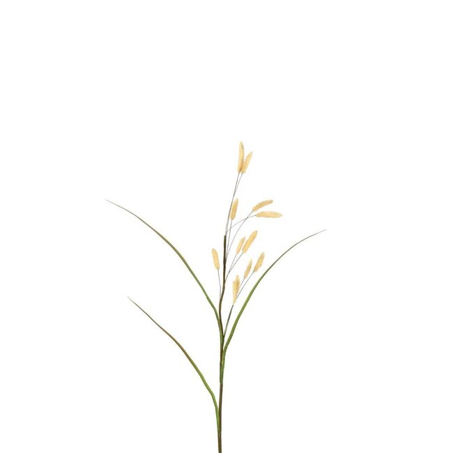 Gedroogde Hazestaart Kunsttak | Kleur: Beige | Lagurus Ovatus | Lengte ± 114 centimeter | Per 4 kunsttakken