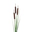 Branche artificielle de quenouille | Couleur: Brun | Branche artificielle de quenouille | Longueur ± 119 centimeter | Par 6 branches artificielles