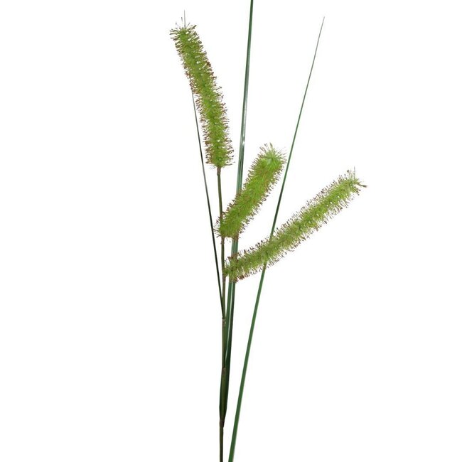 Sedge Grass Artificial Stem | Colour: Green | Carex Long Spiculate | Length ± 132 centimeter | Per 6 artificial stems