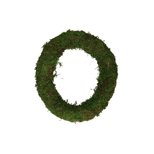 Mos Krans | Kleur: Groen | Diameter 25 centimeter | Per 12 kransen