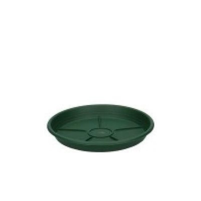 Soucoupe d'arrosage en plastique | Couleur: Vert foncé | Diamètre 12 centimeter | Par 10 soucoupes d'arrosage