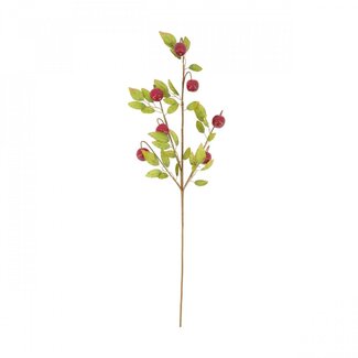4A Appeltak Kunsttak | Kleur: Rood | Lengte 77 centimeter | Breedte 30 centimeter | Diepte 5 centimeter | Per 12 takken