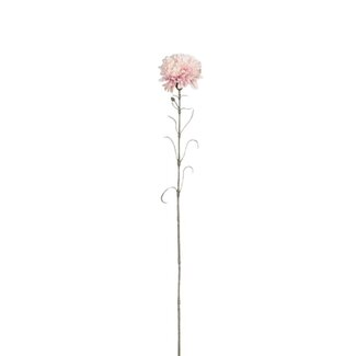4A Nelke Kunstblume | Farbe: Rosa | Dianthus Kunstblumen | Länge ± 66 centimeter | Pro 12 Kunstblumen