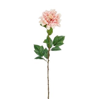 4A Dahlia Kunstbloem | Kleur: Lichtroze | Lengte ± 75 centimeter | Per 12 kunstbloemen