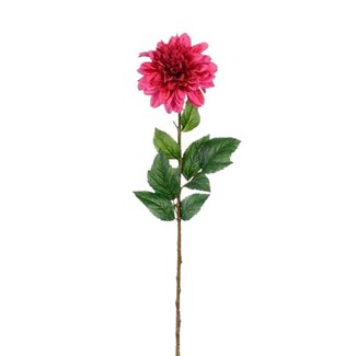 4A Dahlia fleur artificielle | Couleur: Fuchsia | Longueur ± 75 centimeter | Par 12 fleurs artificielles