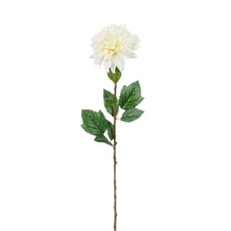 4A Dahlia fleur artificielle | Couleur: Blanc Naturel | Longueur ± 75 centimeter | Par 12 fleurs artificielles