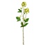 Gelderse Roos of Sneeuwbal Kunstbloem | Kleur: Lichtgroen | Viburnum Opulus Kunstbloemen | Lengte ± 71 centimeter | Per 12 kunstbloemen