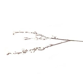 4A Berry Branch Bracea Artificial Branch | Colour: Natural White | Length ± 30 centimetre | Per 5 branches