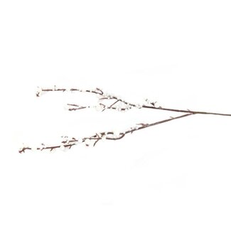 4A Bessen Tak Bracea Kunsttak | Kleur: Natuurlijk Wit | Lengte ± 30 centimeter | Per 5 takken