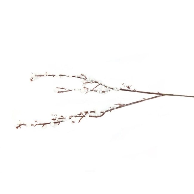 Branche de baies Bracea Branche artificielle | Couleur: Blanc naturel | Longueur ± 30 centimeter | Par 5 branches
