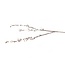 Branche de baies Bracea Branche artificielle | Couleur: Blanc naturel | Longueur ± 30 centimeter | Par 5 branches
