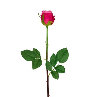 4A Rose Fleur artificielle | Couleur: Fuchsia | Roses Fleurs artificielles | Longueur ± 46 centimeter | Par 24 fleurs artificielles