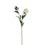 Pivoine Fleur artificielle | Couleur: crème | Longueur ± 87 centimeter | Par 12 fleurs artificielles