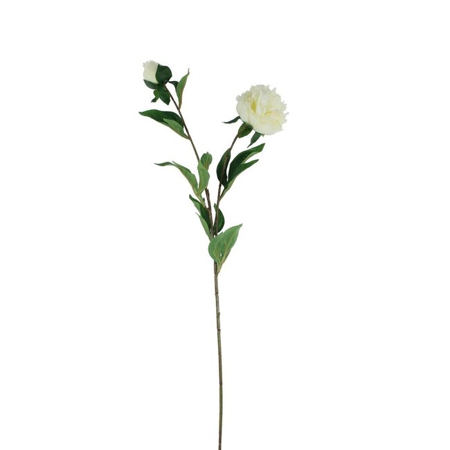 Pivoine Fleur artificielle | Couleur: crème | Longueur ± 87 centimeter | Par 12 fleurs artificielles