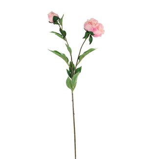 4A Pivoine Fleur artificielle | Couleur: Rose clair | Longueur ± 87 centimeter | Par 12 fleurs artificielles