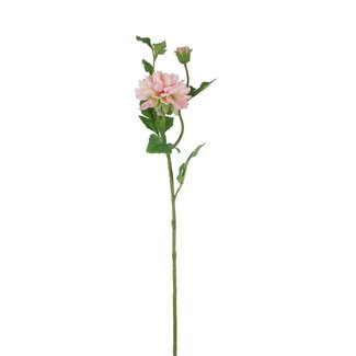 4A Dahlia Artificial flower | Colour: Light pink | Length ± 69 centimetre | Per 12 artificial flowers