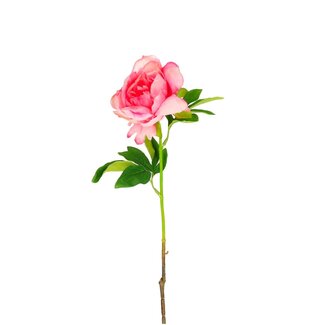 4A Pivoine fleur artificielle | Couleur: Rose | Paeonia fleurs artificielles | Longueur ± 57 centimeter | Par 6 fleurs artificielles