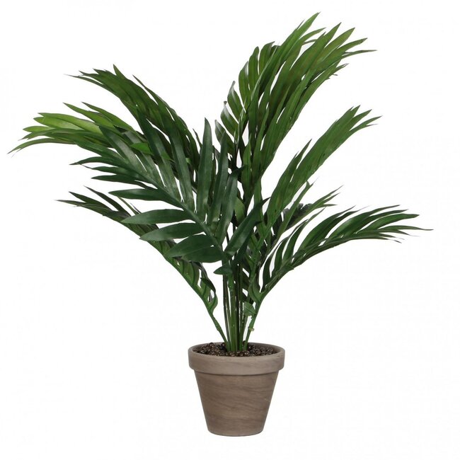 Gold palm artificial plant with pot | Colour: Green | Areca palm artificial plant | Diameter ± 11 - 60 centimeter | Height ± 45 centimeter | Per 6 artificial plants