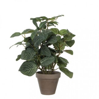 4A Pannenkoekplant Plante artificielle avec pot | Couleur: Vert | Pilea Plante artificielle | Diamètre ± 11 - 25 centimeter | Hauteur ± 35 centimeter | Par 6 plantes artificielles