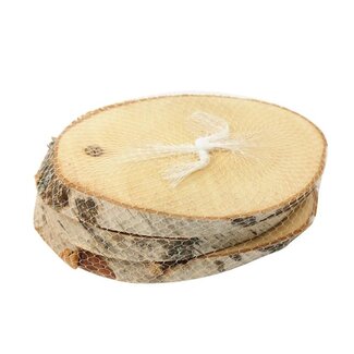 4A Getrocknete Birken Holzscheiben | Farbe: Braun | Durchmesser 16 centimeter | Höhe 10 centimeter | Pro 3 Scheiben
