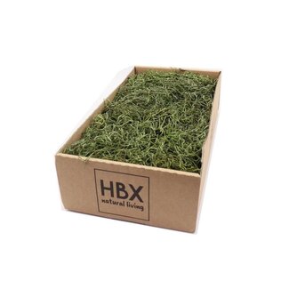 4A Gedroogd Tillandsia Mos | Kleur: Groen | Droogdecoratie | Gewicht 350 gram | Per zak
