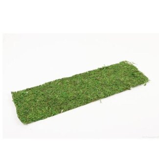 4A Tapis de mousse séchée | Couleur: Vert | Décoration sèche | Longueur 58 centimeter | Largeur 18 centimeter | Par tapis