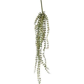 4A Hanging Succulent Artificial Plant Branch | Colour: Green | Succulent trailing | Length ± 71 centimetre | Per artificial branches