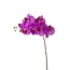 Butterfly orchid Artificial flower | Colour: Purple | Phalaenopsis Artificial flowers | Length ± 68 centimetre | Per 6 artificial flowers