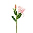 Lelie Kunstbloem | Kleur: Lichtroze | Lilium Kunstbloemen | Lengte ± 79 centimeter | Per 6 kunstbloemen