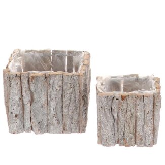 4A Houten Bloempot Plantenbak Schors set van 2 | Kleur: Natuurlijk Wit | Diameter 15 centimeter | Hoogte 12 centimeter | Per set van 2 bloempotten