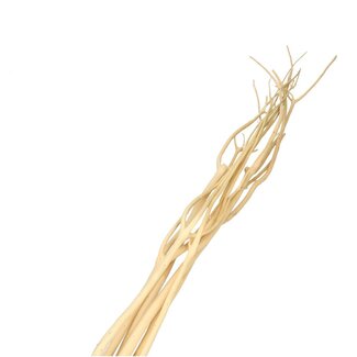 4A Gedroogde Mitsumata Takken | Kleur: Crèmekleurig | Droogdecoratie | Lengte ± 115 centimeter | 5 takken per bos | Per bos