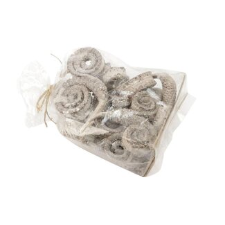 4A Gedroogde Palm Special | Kleur: Natuurlijk Wit | Droogdecoratie | Diameter ± 12 centimeter | Per 10 palmtakken