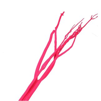 4A Getrocknete Mitsumata-Flockenzweige | Farbe: Fuchsia | Trocken-Dekoration | Länge ± 115 centimeter | 3 Zweige pro Bund | Pro Bund