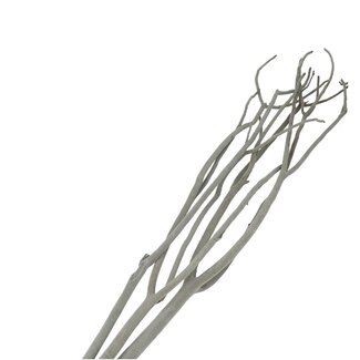 4A Getrocknete Mitsumata Flockenzweige | Farbe: Grau | Trocken-Dekoration | Länge ± 115 centimeter | 3 Zweige pro Bund | Pro Bund