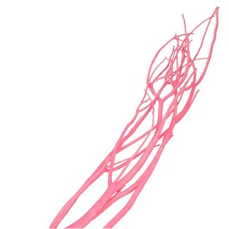 4A Gedroogde Mitsumata vlok Takken | Kleur: Roze | Droogdecoratie | Lengte ± 115 centimeter | 3 takken per bos | Per bos