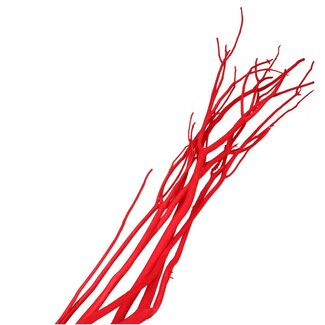 4A Getrocknete Mitsumata-Flockenzweige | Farbe: Rot | Trocken-Dekoration | Länge ± 115 centimeter | 3 Zweige pro Bund | Pro Bund