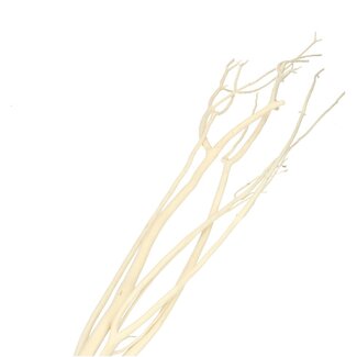4A Gedroogde Mitsumata vlok Takken | Kleur: Natuurlijk Wit | Droogdecoratie | Lengte ± 115 centimeter | 3 takken per bos | Per bos