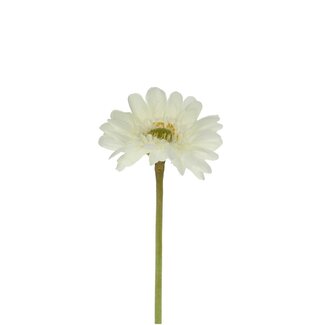 4A Gerbera Kunstblume | Farbe: Natürlich Weiß | Länge ± 55 centimeter | Pro 12 Kunstblumen