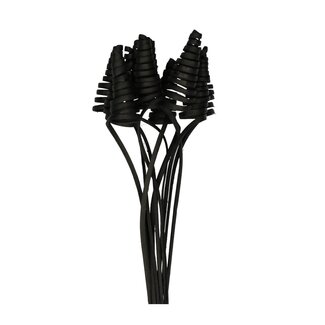4A Palm Spiral on Stem | Colour: Black | Cane Cone Stake | Length ± 50 centimetre | Per 10 stakes