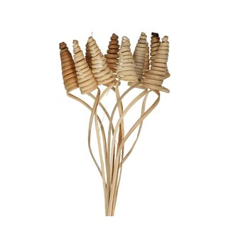 4A Palm Spiraal op steel | Kleur: Bruin | Cane Cone Bijsteker | Lengte ± 50 centimeter | Per 10 bijstekers