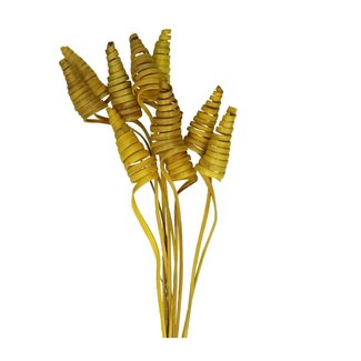 4A Palm Spiraal op steel | Kleur: Geel | Cane Cone Bijsteker | Lengte ± 50 centimeter | Per 10 bijstekers