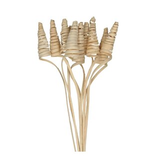 4A Palmspirale am Stiel | Farbe: Natuurlijk Weiß | Cane Cone Stecker | Länge ± 50 centimeter | Pro 10 Stecker